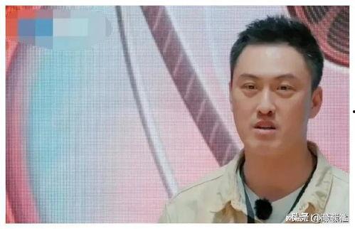 娱乐圈吃瓜料,揭秘明星幕后恩怨情仇