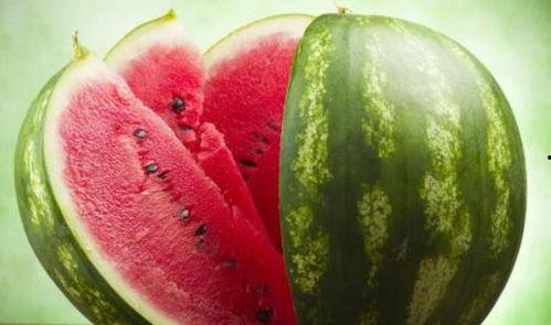 不舍昼夜吃瓜娱乐