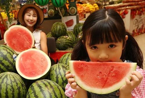 不舍昼夜吃瓜娱乐